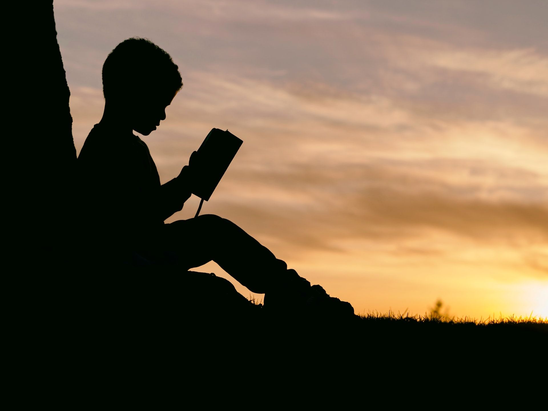 Silhouette eines Jungen liest ein Buch